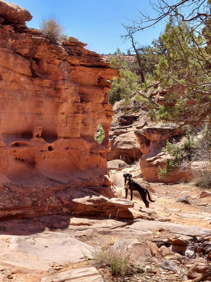 Canyons Of Escalante Rv Park מראה חיצוני תמונה